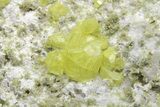 Sulfur Crystals on Matrix - Steamboat Springs, Nevada #209725-2